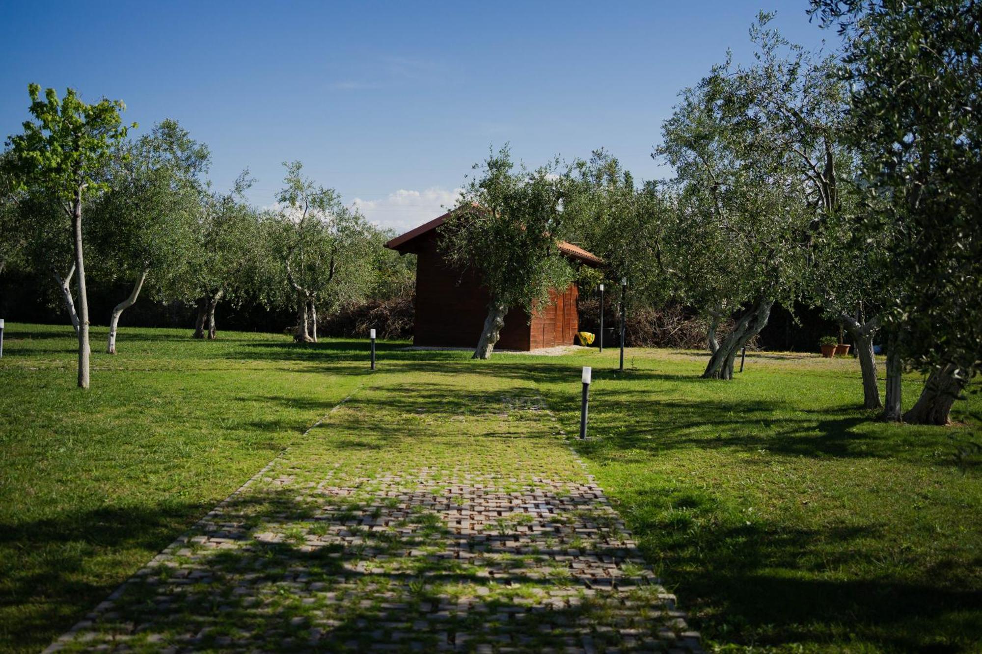 Villa Erada Bari Zewnętrze zdjęcie
